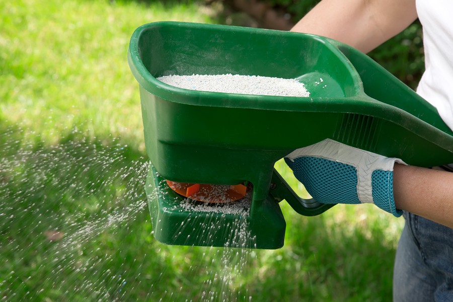 Manual fertilizing of the lawn in back yard in spring time
** Note: Shallow depth of field